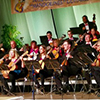 Vivaldi Orchester in Aktion